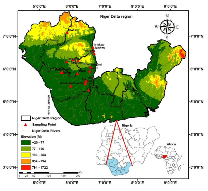 THE FORGOTTEN ALLIANCE